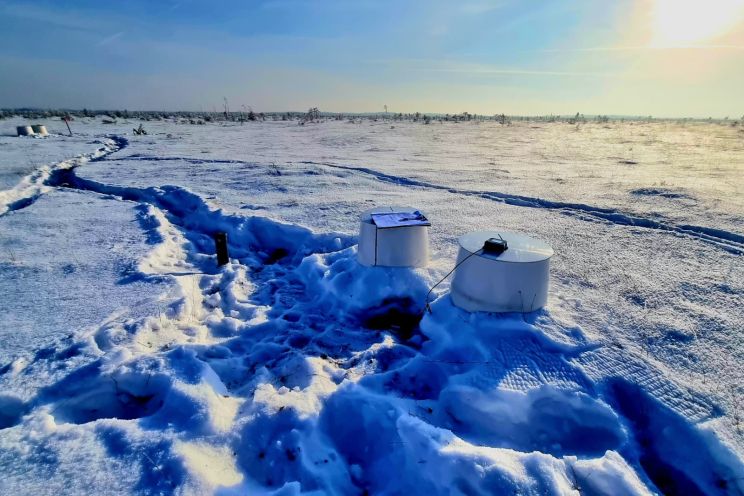 Attēls rakstam: Daba mainās mūsu acu priekšā 
