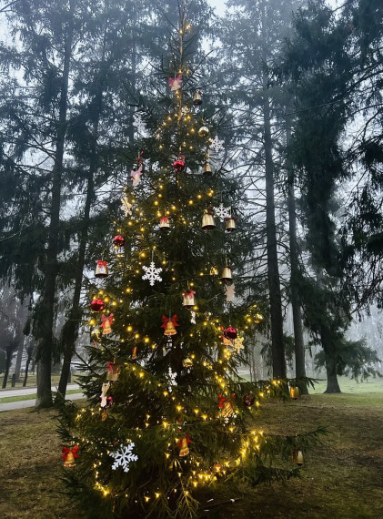Ziemassvētku "Egļu stāsts" pirmās eglītes