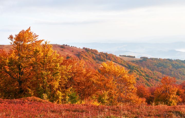 Šā gada rudens Latvijā - trešais siltākais novērojumu vēsturē