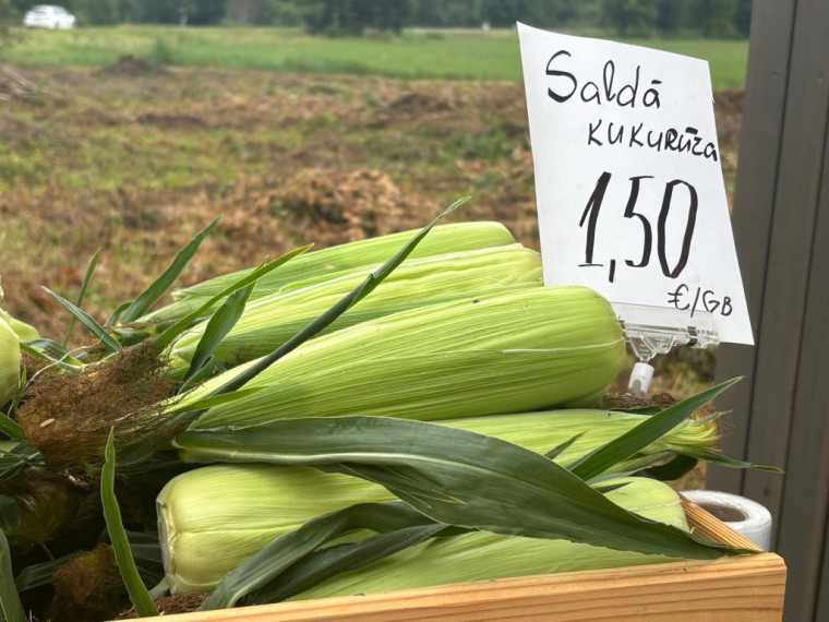 FOTO: Gaumīga pietura ceļa malā – Suntažos lauku labumus var iegādāties pašapkalpošanās stendā