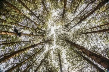 Attēls rakstam: Madlienas amatierteātra izrāde "Virs mūsu galvām galotnes"