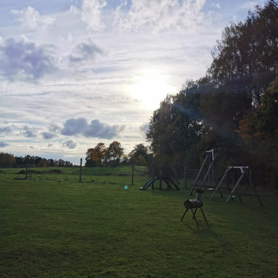 FOTO. Brieži un rudens krāsu palete Ogresgala pagastā