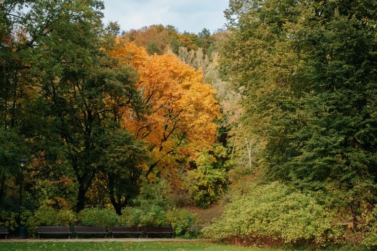 Attēls rakstam: Sācies astronomiskais rudens