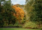 Attēls rakstam: Sācies astronomiskais rudens