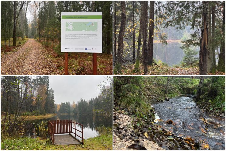 Attēls rakstam: FOTO: Ielūkojamies, kā izskatās jaunajā Meža terapijas takā pie Ogres