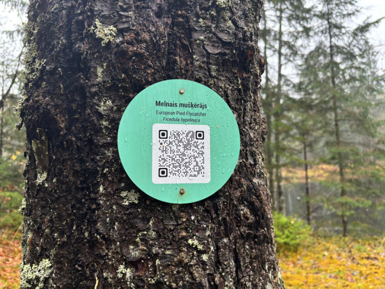 FOTO: Ielūkojamies, kā izskatās jaunajā Meža terapijas takā pie Ogres