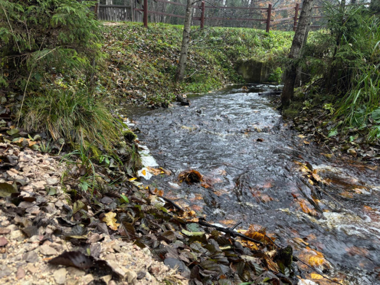 FOTO: Ielūkojamies, kā izskatās jaunajā Meža terapijas takā pie Ogres