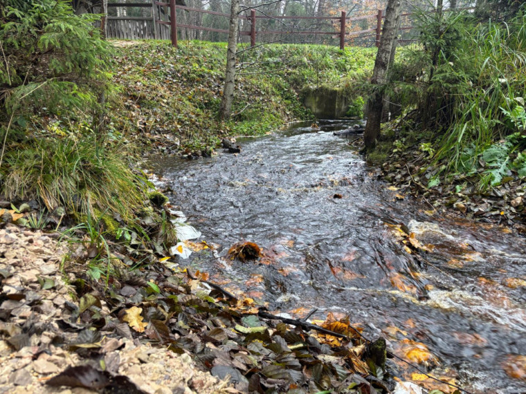 FOTO: Ielūkojamies, kā izskatās jaunajā Meža terapijas takā pie Ogres