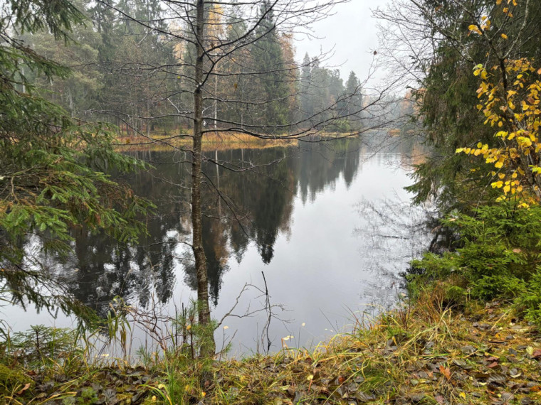 FOTO: Ielūkojamies, kā izskatās jaunajā Meža terapijas takā pie Ogres