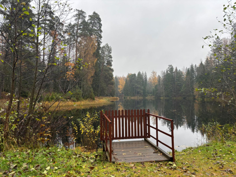 FOTO: Ielūkojamies, kā izskatās jaunajā Meža terapijas takā pie Ogres