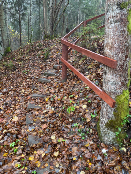FOTO: Ielūkojamies, kā izskatās jaunajā Meža terapijas takā pie Ogres