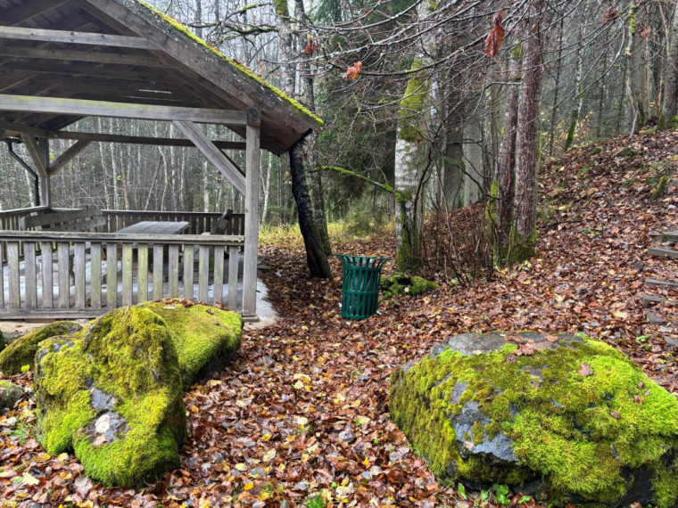 FOTO: Ielūkojamies, kā izskatās jaunajā Meža terapijas takā pie Ogres