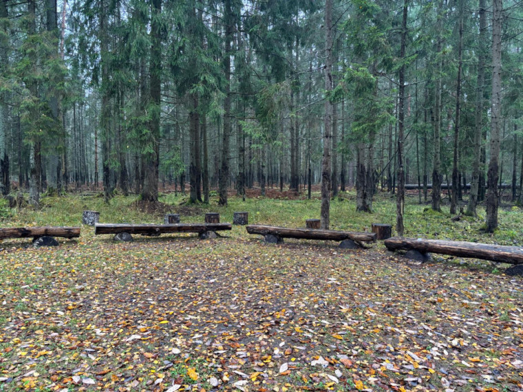 FOTO: Ielūkojamies, kā izskatās jaunajā Meža terapijas takā pie Ogres