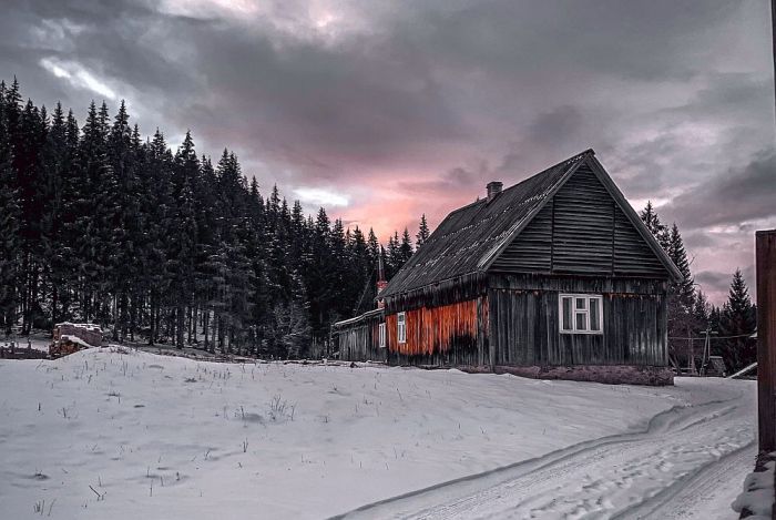 Vodemārs Lauciņš: Advents – no mīlestības uz Mīlestību