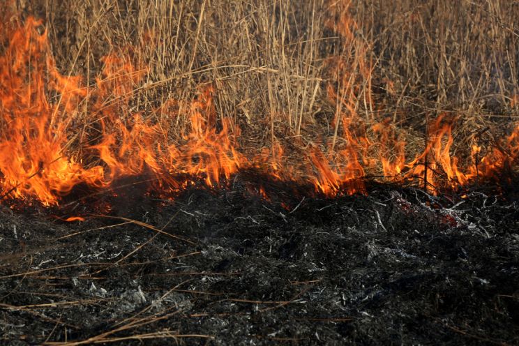 Attēls rakstam: Tomes pagastā no ugunskura aizdegas kūla 