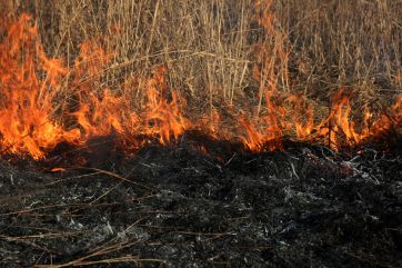 Attēls rakstam: Tomes pagastā no ugunskura aizdegas kūla 
