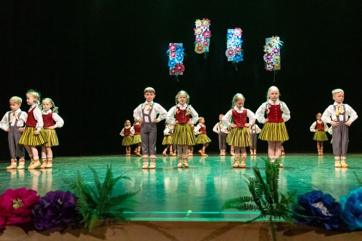Ogres novada pašvaldība iesaistās pulciņu platformas izveidē