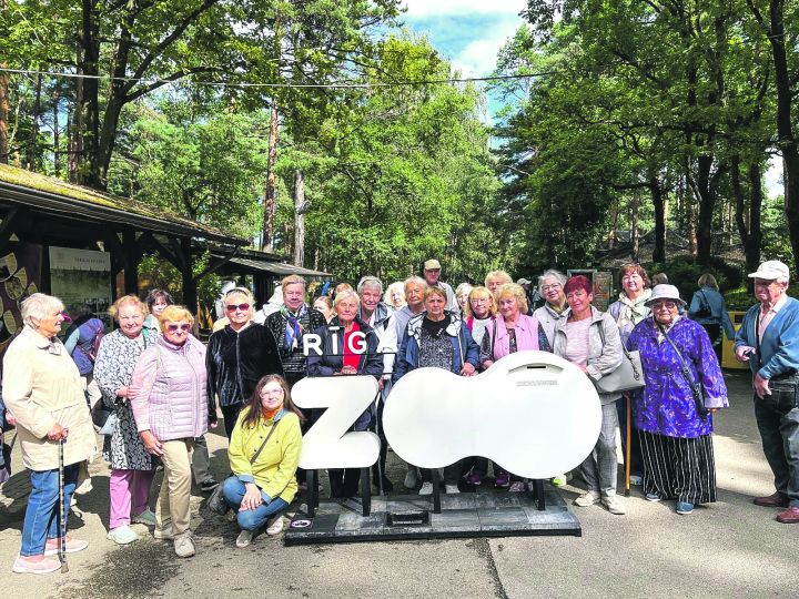 Kāpēc flamingo stāv uz vienas kājas?