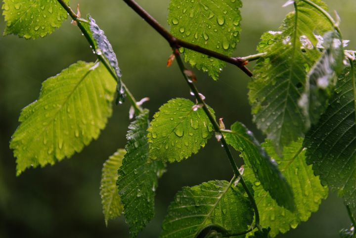 Nākamās nedēļas otrajā pusē Latviju sasniegs plašs ciklons