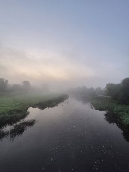 Foto: Rīta rasa un zirnekļu tīkli – Ogres pērles Maijas Karpovičas skatījumā