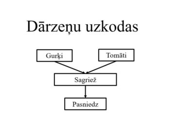 Attēls rakstam: Sistēma atražo pati sevi