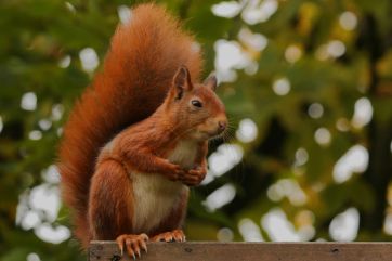Attēls rakstam: Ceturtdien vietām gaidāms neliels lietus