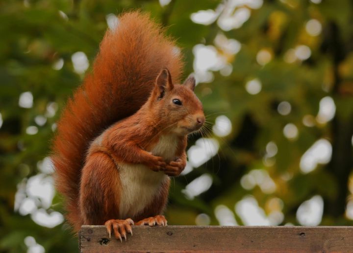 Ceturtdien vietām gaidāms neliels lietus