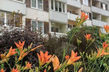 Attēls rakstam: Latvijas sakoptākie pagalmi Ogres novadā un pilsētā