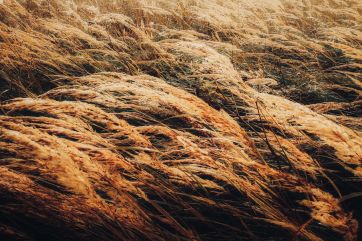 Attēls rakstam: Svētdien vējš, iespējams, būs nedaudz lēnāks par sākotnēji prognozēto