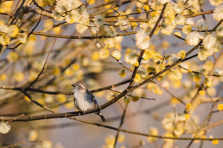 Nedēļas nogale gaidāma lielākoties saulaina