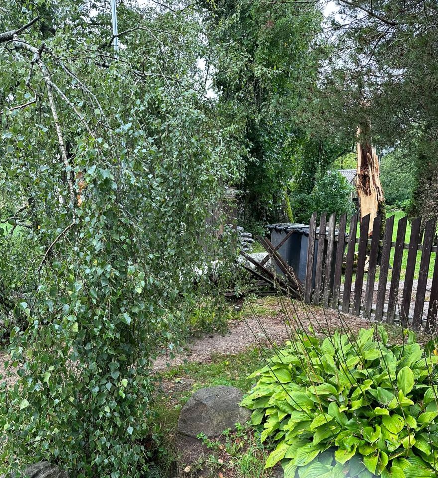 FOTO: Vētras postījumi Tīnūžos un Ogrē