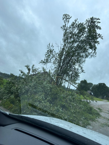 FOTO: Vētras postījumi Tīnūžos un Ogrē