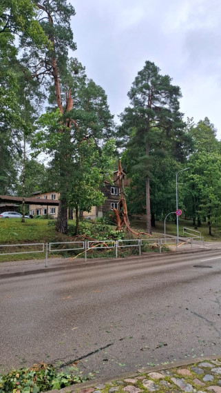 FOTO: Vētras postījumi Tīnūžos un Ogrē