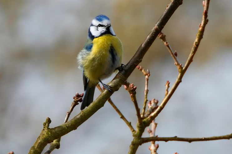 Attēls rakstam: Nedēļas sākumā gaidāmi nokrišņi, bet otrajā pusē - saule