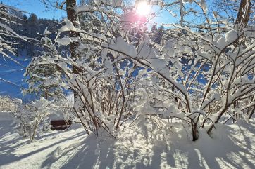 Attēls rakstam: Vai tuvojas gadsimta ziema? — Eksperti brīdina par Arktikas salu