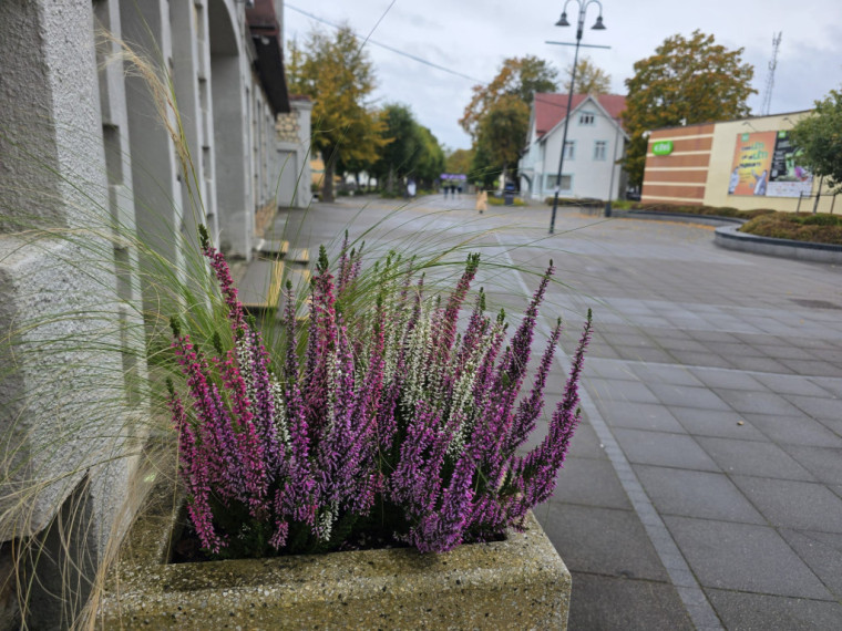 FOTO: Kā no pastkartes! Ogres centrs ietērpies zelta rudens nokrāsās