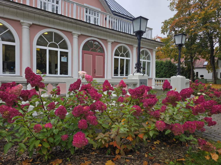 FOTO: Kā no pastkartes! Ogres centrs ietērpies zelta rudens nokrāsās