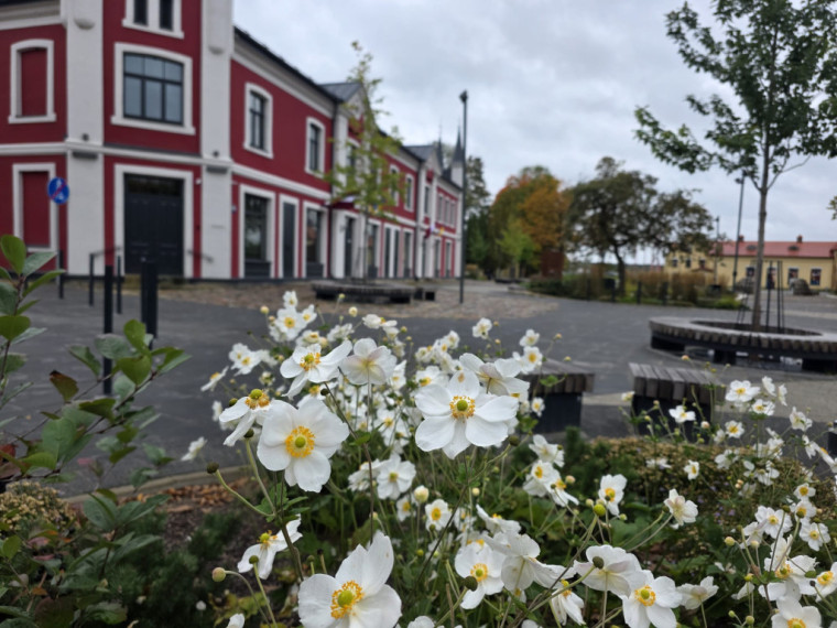 FOTO: Kā no pastkartes! Ogres centrs ietērpies zelta rudens nokrāsās