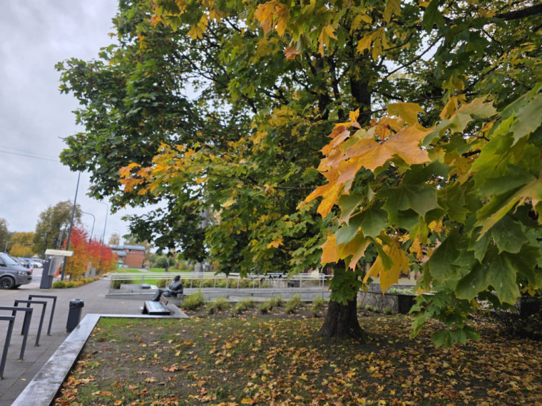 FOTO: Kā no pastkartes! Ogres centrs ietērpies zelta rudens nokrāsās