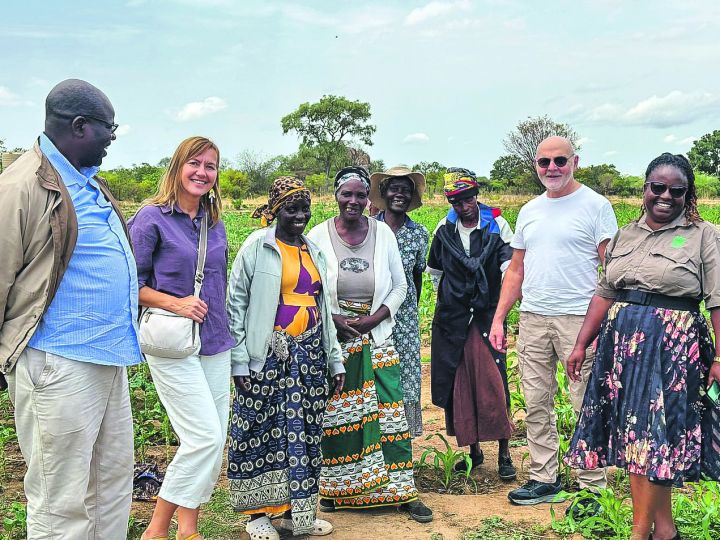 Krapes muižas Āfrikas sami