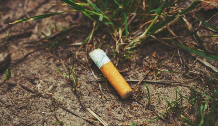 Attēls rakstam: Smēķētāji kā vides draugi – vai tas ir iespējams?