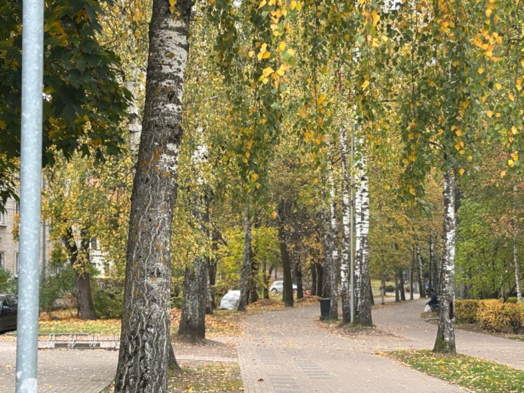 FOTO: Zelta rudens Ogrē visā tā krāšņumā