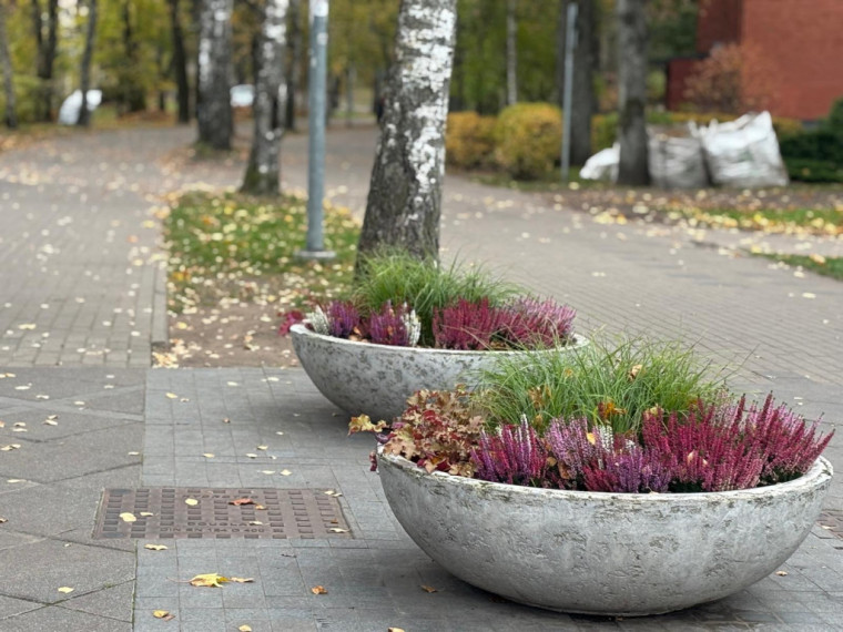 FOTO: Zelta rudens Ogrē visā tā krāšņumā