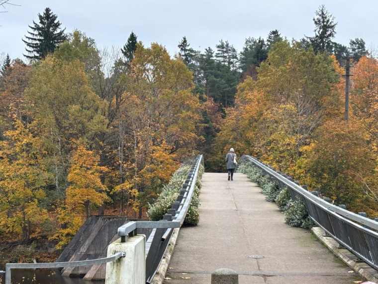 FOTO: Zelta rudens Ogrē visā tā krāšņumā