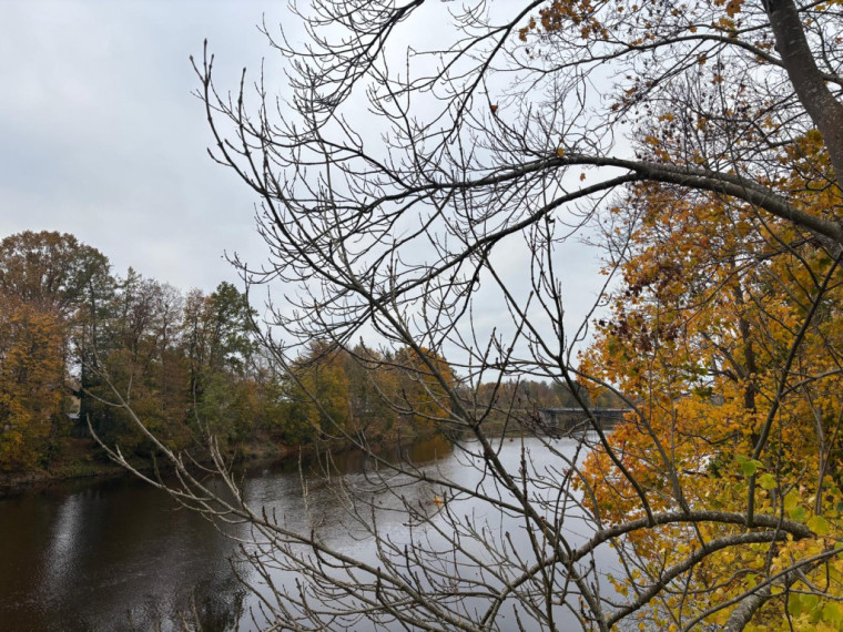 FOTO: Zelta rudens Ogrē visā tā krāšņumā