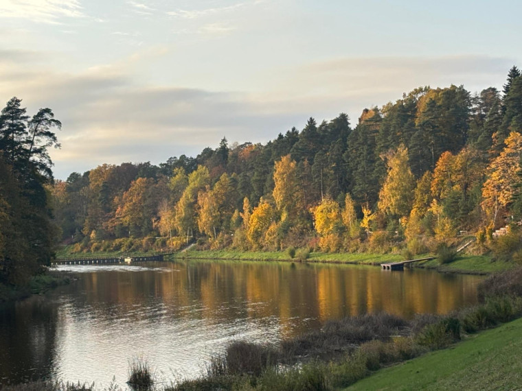 FOTO: Zelta rudens Ogrē visā tā krāšņumā