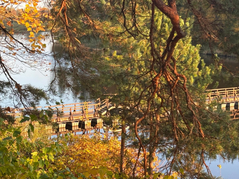 FOTO: Zelta rudens Ogrē visā tā krāšņumā