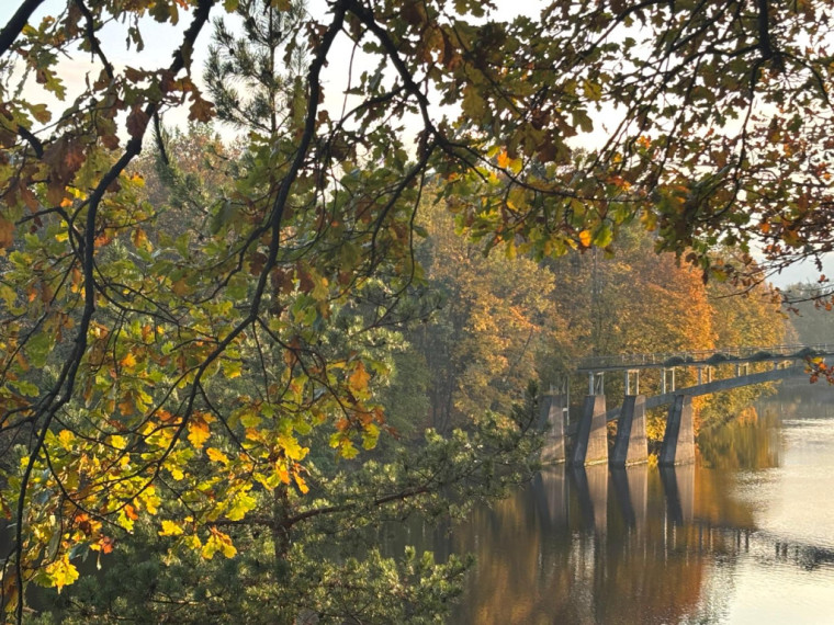 FOTO: Zelta rudens Ogrē visā tā krāšņumā
