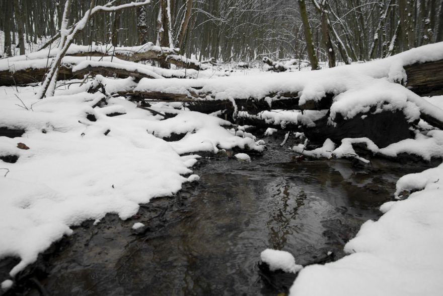 Februāra pēdējā nedēļā palaikam iespējams atkusnis