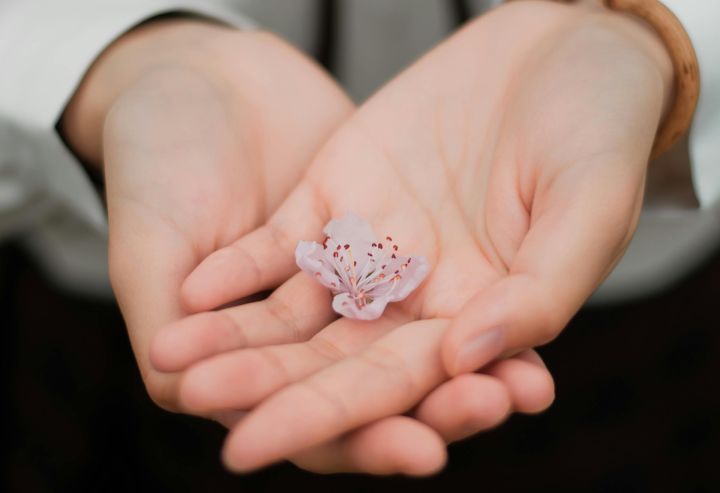 Varēs balsot par šī gada vērtīgāko sociālās uzņēmējdarbības iniciatīvu; starp finālistiem - Ogres novada uzņēmums